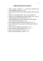 Eseja 'Pašvaldību organizēšana, pašvaldību un administratīvi teritoriālā reforma', 15.