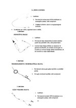 Referāts 'IPEX D gāzu analizators', 15.