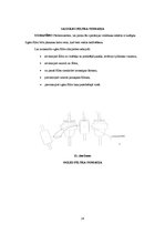 Referāts 'IPEX D gāzu analizators', 24.