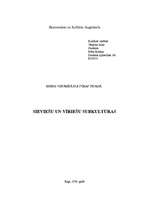 Eseja 'Sieviešu subkultūra pret vīriešu subkultūru', 1.