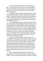 Eseja 'Sieviešu subkultūra pret vīriešu subkultūru', 2.