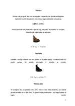 Referāts 'Apavu ražošanas nozare Portugālē', 11.