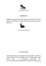 Referāts 'Apavu ražošanas nozare Portugālē', 12.