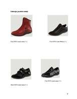 Referāts 'Apavu ražošanas nozare Portugālē', 16.