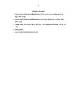 Referāts 'Džordža Herberta Mīda biogrāfija, darbi', 12.