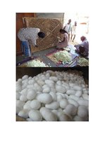 Referāts 'Zīds', 11.