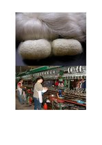 Referāts 'Zīds', 12.