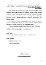 Referāts 'Bērna attīstības ietekmējošie faktori grūtniecības laikā', 3.