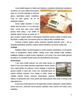 Konspekts 'Cukura diabēts', 4.