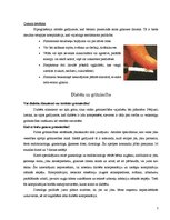 Konspekts 'Cukura diabēts', 5.