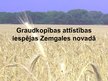 Prezentācija 'Graudkopības attīstības iespējas Zemgales novadā', 1.