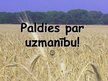 Prezentācija 'Graudkopības attīstības iespējas Zemgales novadā', 12.