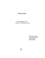 Biznesa plāns 'Sporta un relaksācijas centrs', 1.