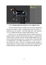 Referāts 'Vienkāršas spēles izveide, izmantojot Blender Game Engine', 13.
