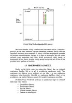 Referāts 'Mārketinga plāns produktam "Vichy Viva Fresh"', 7.
