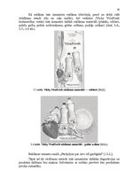 Referāts 'Mārketinga plāns produktam "Vichy Viva Fresh"', 29.