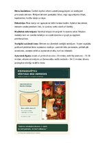 Paraugs 'Ziemassvētku vēstule bez adreses', 13.