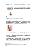 Referāts 'Žestu nozīmju atšķirība dažādās kultūrās', 5.