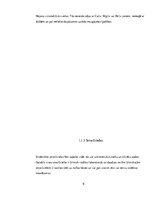 Referāts 'Ķīmiskie tīrīšanas līdzekļi', 9.