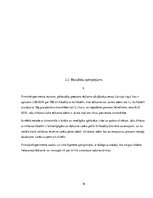 Referāts 'Ķīmiskie tīrīšanas līdzekļi', 16.