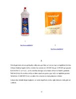 Referāts 'Ķīmiskie tīrīšanas līdzekļi', 17.