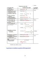 Referāts 'Ķīmiskie tīrīšanas līdzekļi', 21.