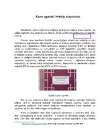 Referāts 'Kases aparāti. Nodokļu krāpniecība', 1.