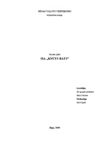 Biznesa plāns 'SIA "Knuts Bats"', 1.