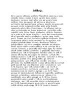 Eseja 'Inflācija', 1.