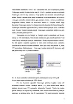 Konspekts 'Jauno automašīnu tirgus Kurzemes reģionā', 3.