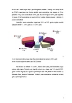 Konspekts 'Jauno automašīnu tirgus Kurzemes reģionā', 8.