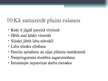 Prezentācija 'Borta dators', 13.