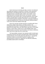 Referāts 'Edvards Hopers', 2.