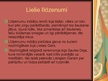 Prezentācija 'Ziemeļamerikas indiāņi', 24.
