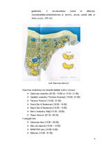 Prakses atskaite 'Viesnīca "Aldemar Knossos Royal"', 8.