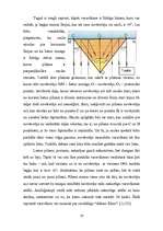 Referāts 'Varavīksne', 16.