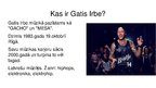 Prezentācija 'Gatis Irbe', 3.