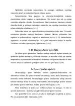 Referāts 'Kokapstrādes tehnoloģija. Koksnes apdares materiāli', 8.