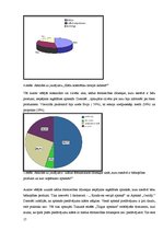 Referāts 'Medus un citu bišu produktu pielietojums ārstniecībā un kosmetoloģijā', 17.