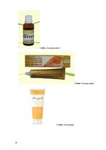 Referāts 'Medus un citu bišu produktu pielietojums ārstniecībā un kosmetoloģijā', 23.