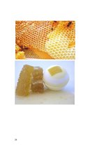 Referāts 'Medus un citu bišu produktu pielietojums ārstniecībā un kosmetoloģijā', 28.