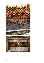 Referāts 'Medus un citu bišu produktu pielietojums ārstniecībā un kosmetoloģijā', 30.