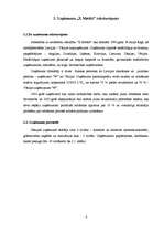 Referāts 'Uzņēmuma "X Metāls" finansiālās darbības analīze', 8.