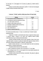 Referāts 'Uzņēmuma "X Metāls" finansiālās darbības analīze', 27.