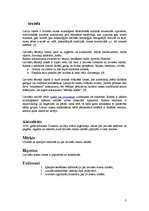 Referāts 'Latviešu rakstu zīmes', 3.