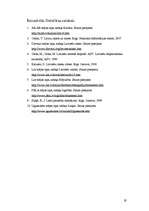 Referāts 'Latviešu rakstu zīmes', 19.