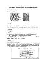 Konspekts 'Šūnas uzbūve, dzīves cikls', 1.