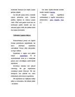 Referāts 'Varas maiņa Krievijā ', 11.