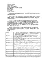 Konspekts 'Latviešu valodas stili, stilu kļūdas un leksikas slāņi', 5.