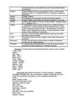 Konspekts 'Latviešu valodas stili, stilu kļūdas un leksikas slāņi', 6.